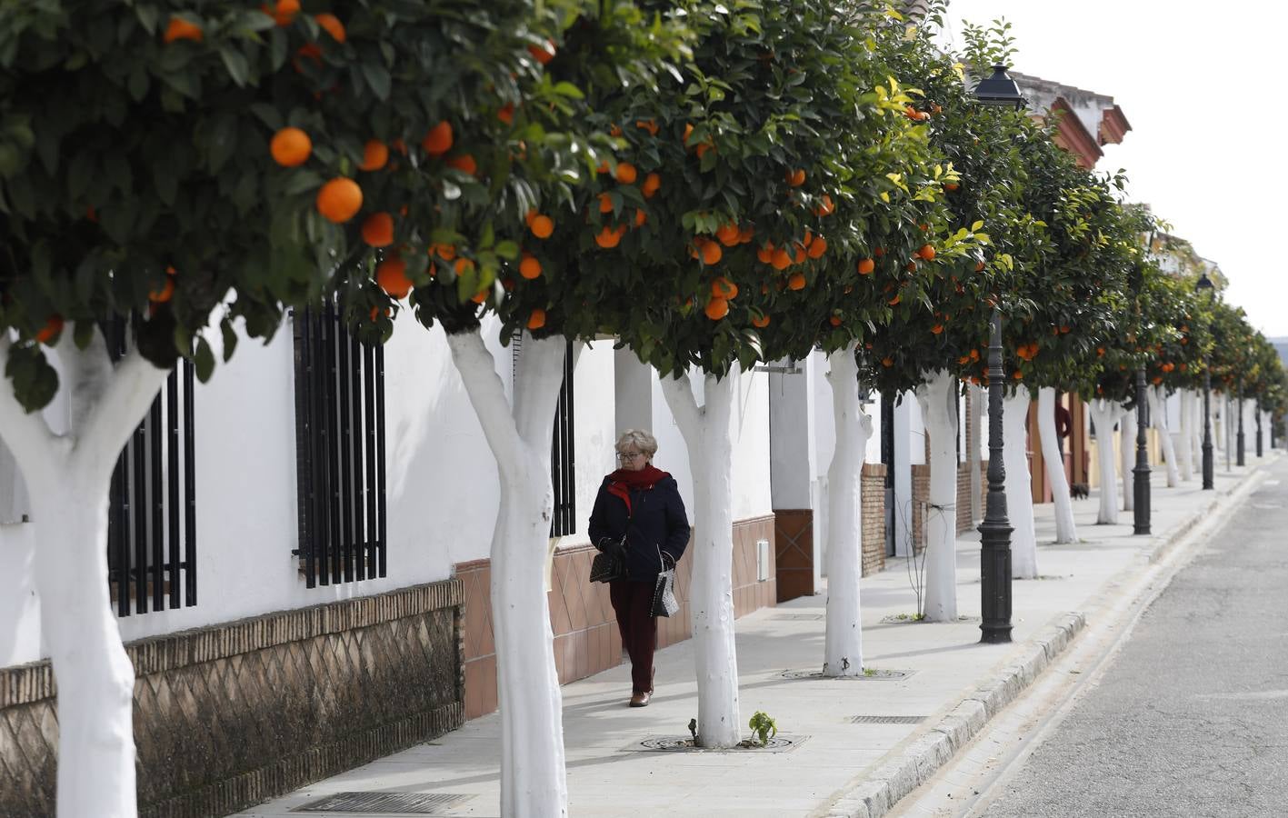 Paseo Fotogr fico Por Encinarejo